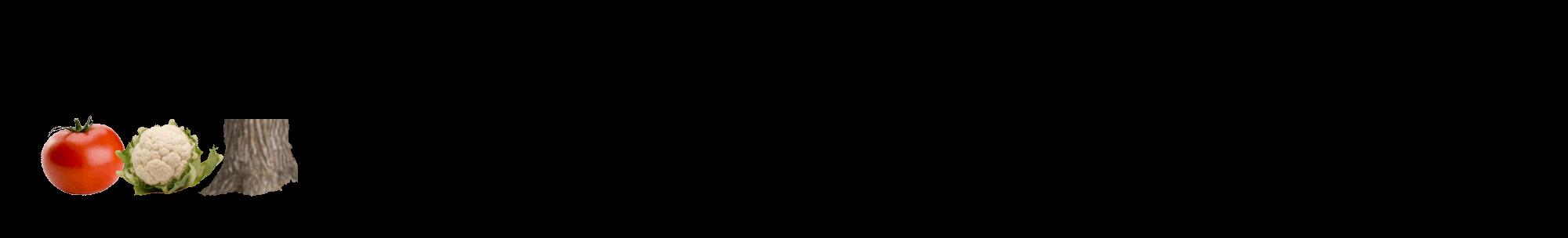 Étiquette de : Ozoroa insignis - format c - style noire59_basique_basiquehel avec comestibilité simplifiée