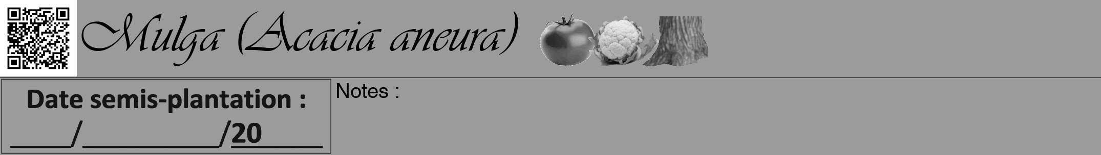 Étiquette de : Acacia aneura - format a - style noire52viv avec qrcode et comestibilité simplifiée