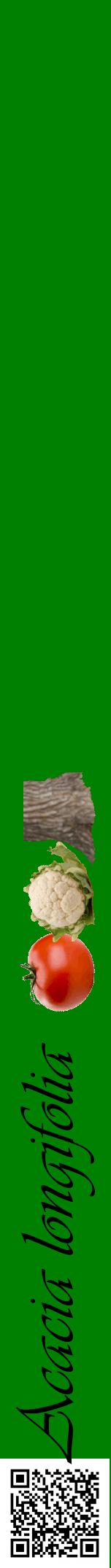 Étiquette de : Acacia longifolia - format a - style noire9viv avec qrcode et comestibilité simplifiée