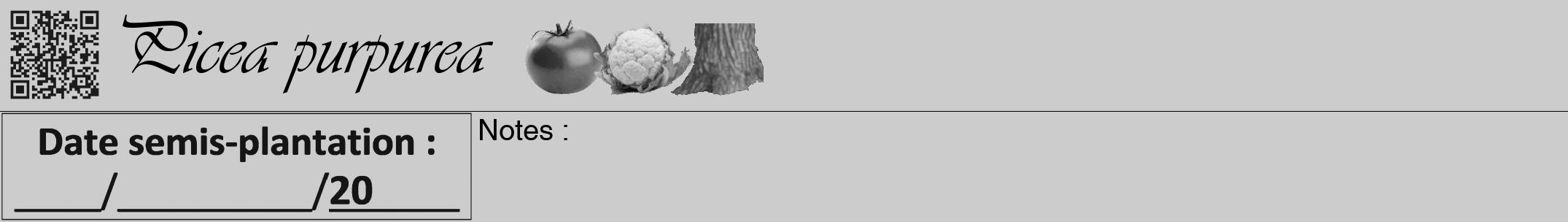 Étiquette de : Picea purpurea - format a - style noire0viv avec qrcode et comestibilité simplifiée