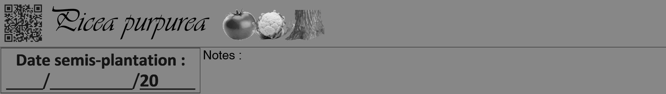 Étiquette de : Picea purpurea - format a - style noire12viv avec qrcode et comestibilité simplifiée