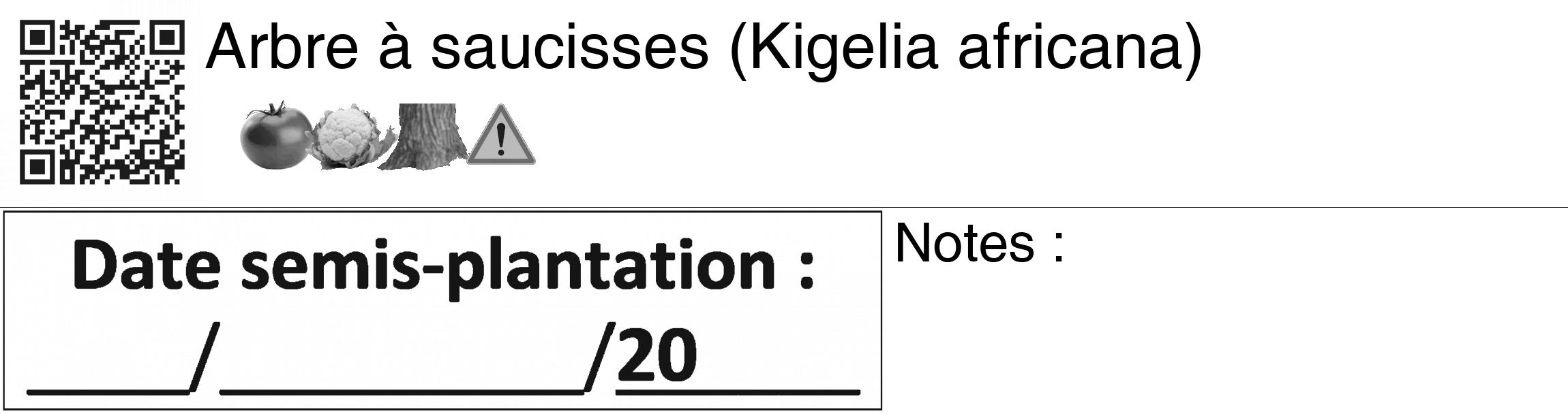 Étiquette de : Kigelia africana - format c - style noire60_basiquegrrvhel avec qrcode et comestibilité simplifiée