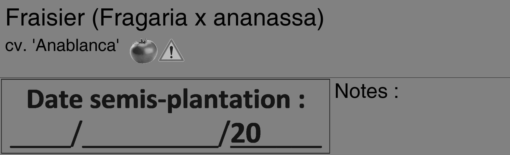 Étiquette de : Fragaria x ananassa cv. 'Anablanca' - format c - style noire50_basique_basiquehel avec comestibilité simplifiée