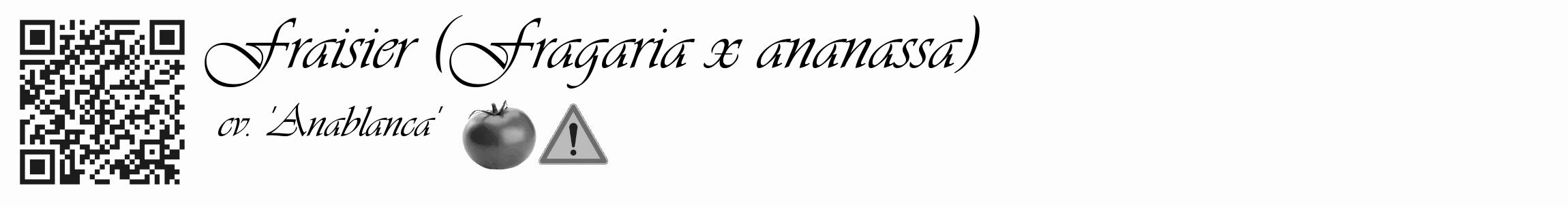 Étiquette de : Fragaria x ananassa cv. 'Anablanca' - format c - style noire19_basique_basiqueviv avec qrcode et comestibilité simplifiée