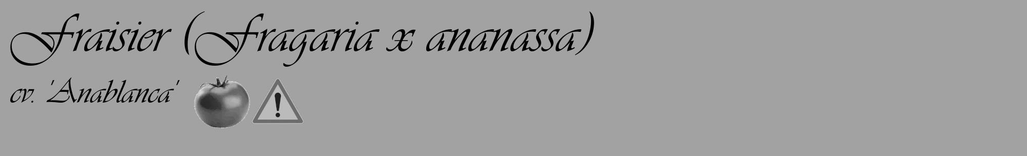 Étiquette de : Fragaria x ananassa cv. 'Anablanca' - format c - style noire38_basique_basiqueviv avec comestibilité simplifiée