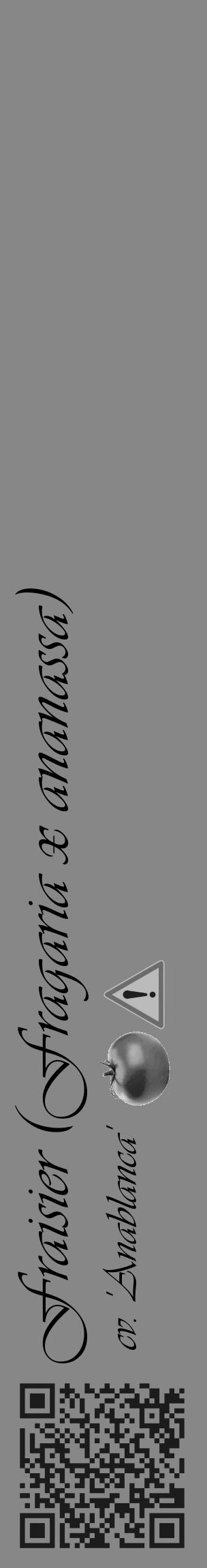 Étiquette de : Fragaria x ananassa cv. 'Anablanca' - format c - style noire12_basique_basiqueviv avec qrcode et comestibilité simplifiée - position verticale