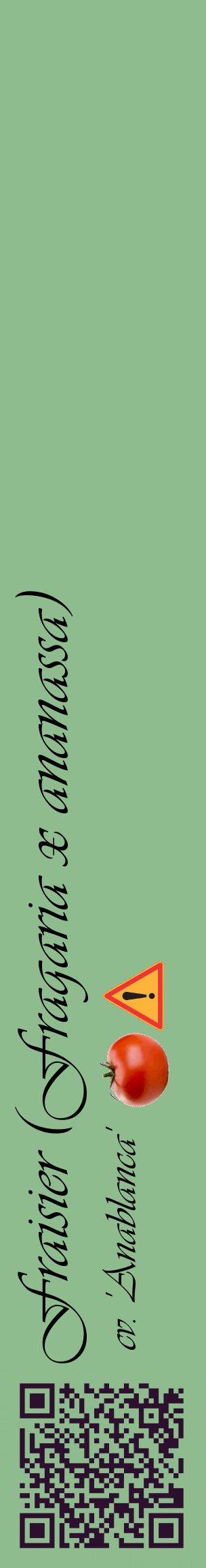 Étiquette de : Fragaria x ananassa cv. 'Anablanca' - format c - style noire13_basiqueviv avec qrcode et comestibilité simplifiée
