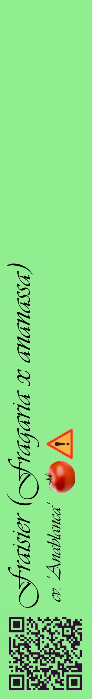 Étiquette de : Fragaria x ananassa cv. 'Anablanca' - format c - style noire15_basiqueviv avec qrcode et comestibilité simplifiée