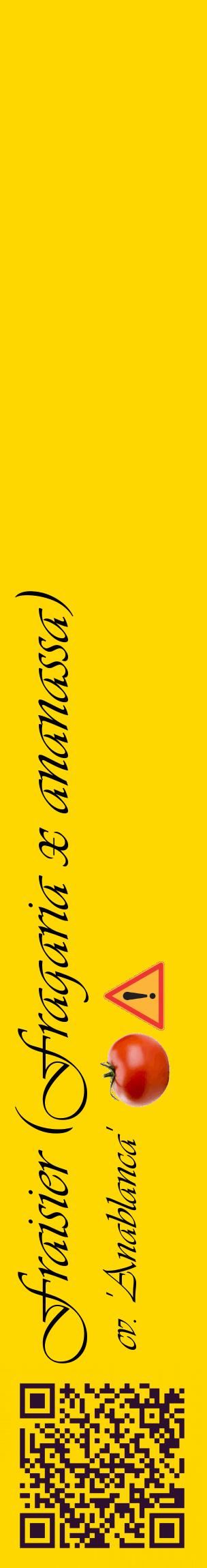 Étiquette de : Fragaria x ananassa cv. 'Anablanca' - format c - style noire21_basiqueviv avec qrcode et comestibilité simplifiée