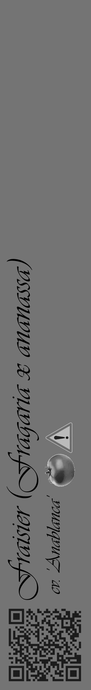 Étiquette de : Fragaria x ananassa cv. 'Anablanca' - format c - style noire26_basique_basiqueviv avec qrcode et comestibilité simplifiée - position verticale