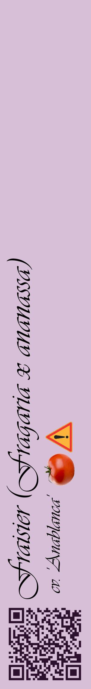 Étiquette de : Fragaria x ananassa cv. 'Anablanca' - format c - style noire54_basiqueviv avec qrcode et comestibilité simplifiée