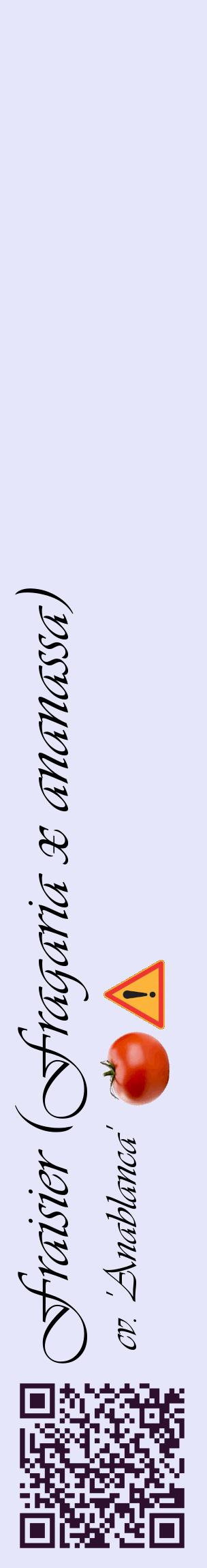 Étiquette de : Fragaria x ananassa cv. 'Anablanca' - format c - style noire55_basiqueviv avec qrcode et comestibilité simplifiée