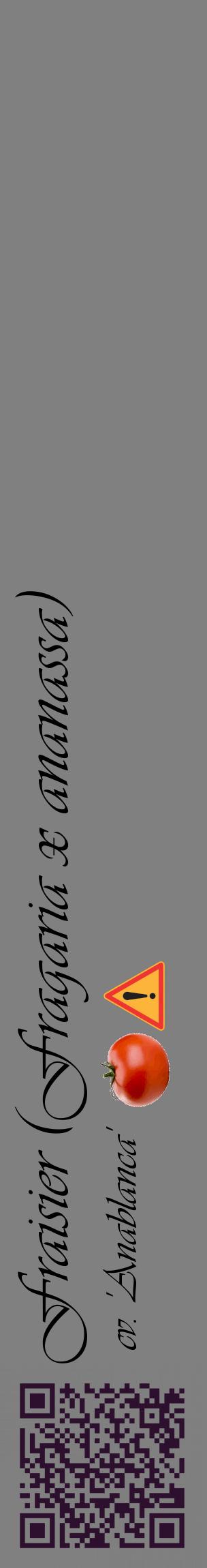 Étiquette de : Fragaria x ananassa cv. 'Anablanca' - format c - style noire57_basiqueviv avec qrcode et comestibilité simplifiée
