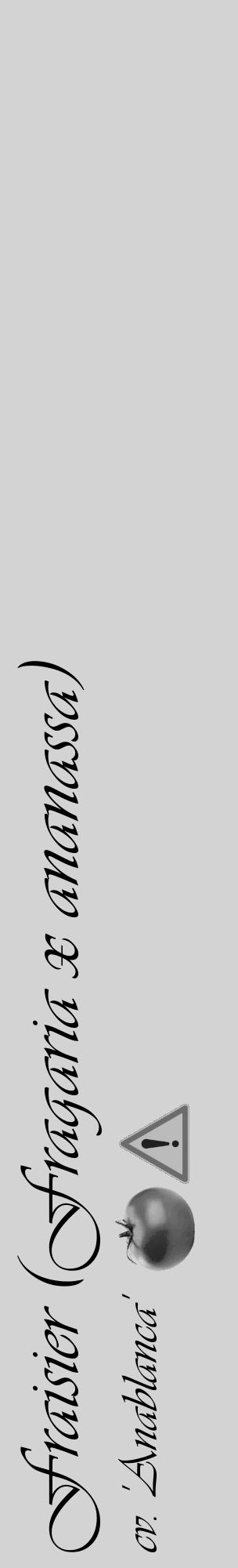 Étiquette de : Fragaria x ananassa cv. 'Anablanca' - format c - style noire56_basique_basiqueviv avec comestibilité simplifiée - position verticale