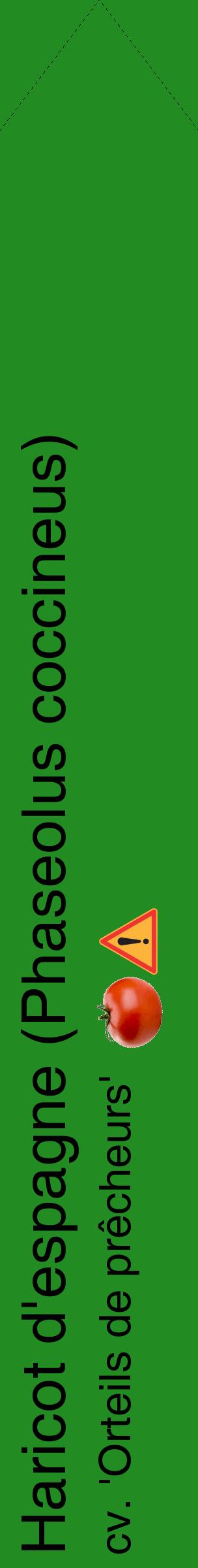 Étiquette de : Phaseolus coccineus cv. 'Orteils de prêcheurs' - format c - style noire10_simplehel avec comestibilité simplifiée