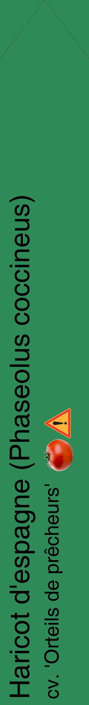 Étiquette de : Phaseolus coccineus cv. 'Orteils de prêcheurs' - format c - style noire11_simplehel avec comestibilité simplifiée