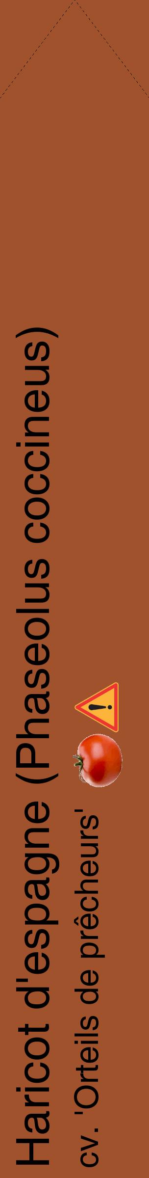 Étiquette de : Phaseolus coccineus cv. 'Orteils de prêcheurs' - format c - style noire32_simplehel avec comestibilité simplifiée