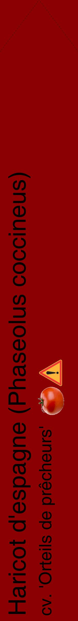 Étiquette de : Phaseolus coccineus cv. 'Orteils de prêcheurs' - format c - style noire34_simplehel avec comestibilité simplifiée