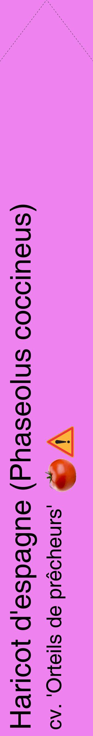 Étiquette de : Phaseolus coccineus cv. 'Orteils de prêcheurs' - format c - style noire53_simplehel avec comestibilité simplifiée