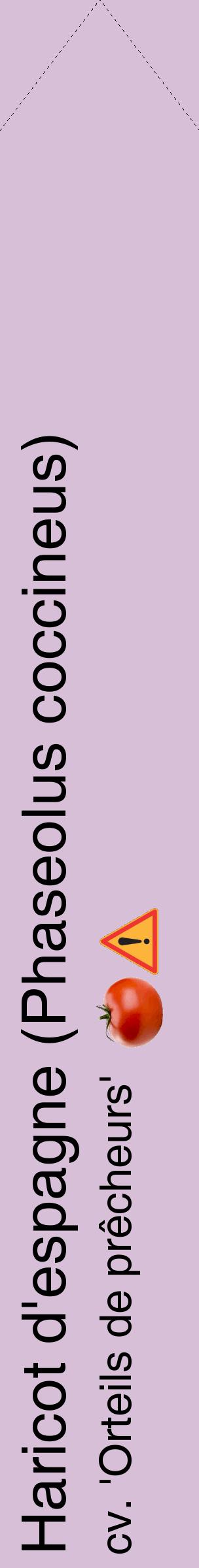 Étiquette de : Phaseolus coccineus cv. 'Orteils de prêcheurs' - format c - style noire54_simplehel avec comestibilité simplifiée