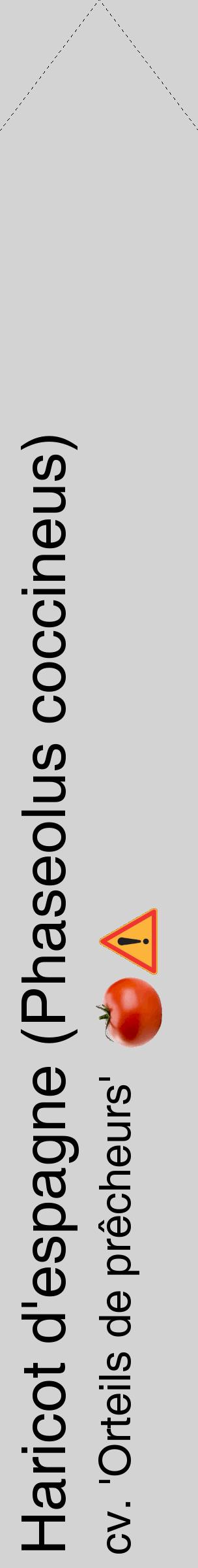 Étiquette de : Phaseolus coccineus cv. 'Orteils de prêcheurs' - format c - style noire56_simplehel avec comestibilité simplifiée
