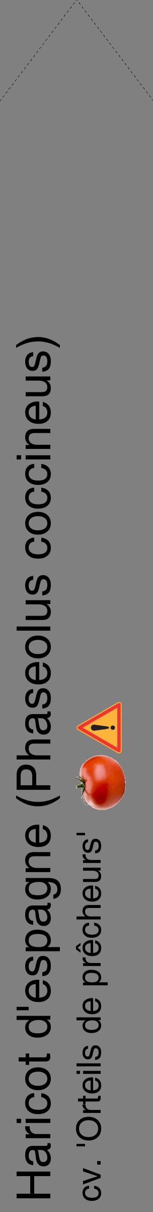 Étiquette de : Phaseolus coccineus cv. 'Orteils de prêcheurs' - format c - style noire57_simplehel avec comestibilité simplifiée