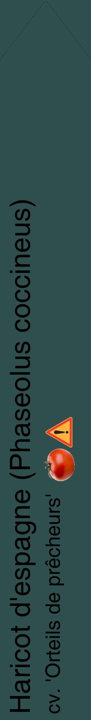 Étiquette de : Phaseolus coccineus cv. 'Orteils de prêcheurs' - format c - style noire58_simplehel avec comestibilité simplifiée