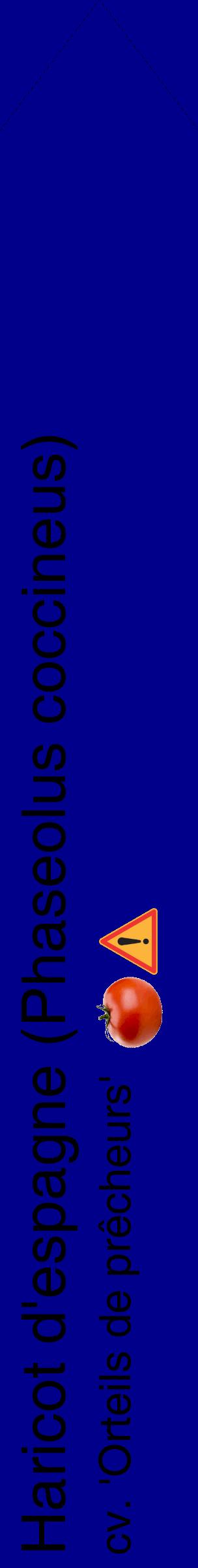 Étiquette de : Phaseolus coccineus cv. 'Orteils de prêcheurs' - format c - style noire7_simplehel avec comestibilité simplifiée