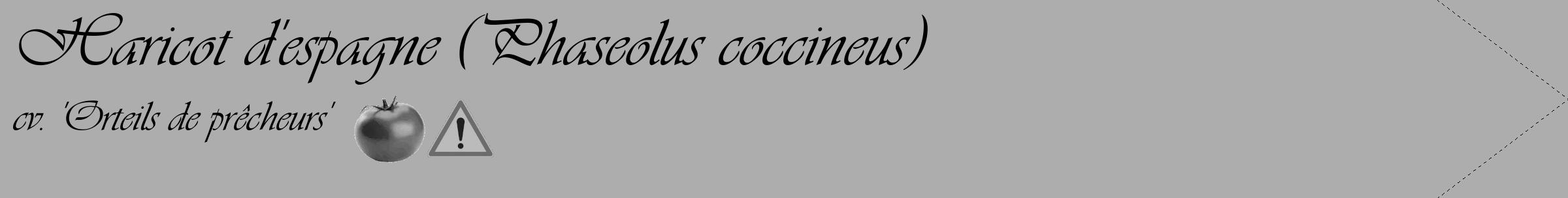 Étiquette de : Phaseolus coccineus cv. 'Orteils de prêcheurs' - format c - style noire22_simple_simpleviv avec comestibilité simplifiée