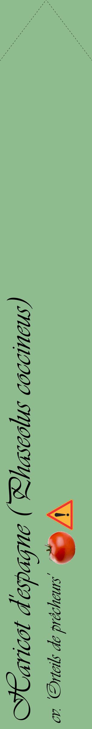 Étiquette de : Phaseolus coccineus cv. 'Orteils de prêcheurs' - format c - style noire13_simpleviv avec comestibilité simplifiée