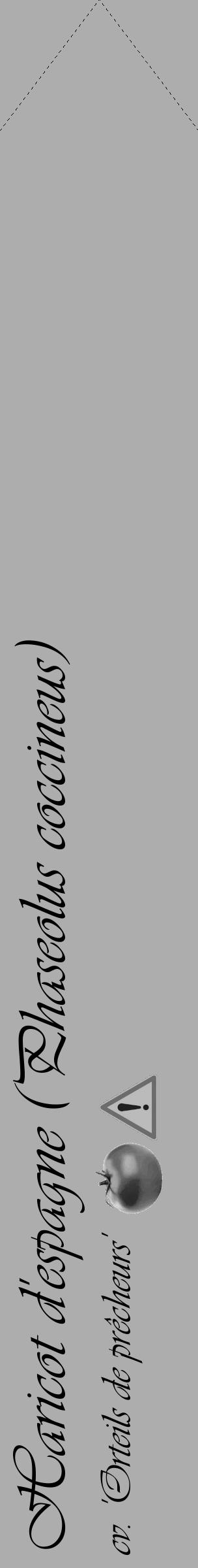 Étiquette de : Phaseolus coccineus cv. 'Orteils de prêcheurs' - format c - style noire22_simple_simpleviv avec comestibilité simplifiée - position verticale