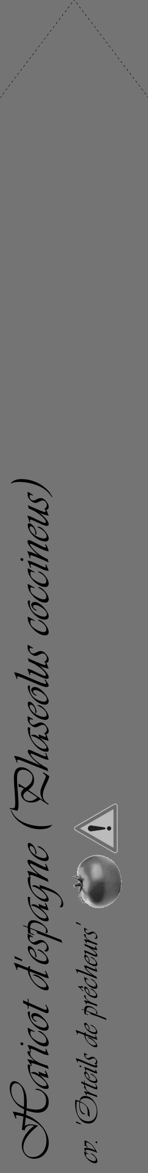 Étiquette de : Phaseolus coccineus cv. 'Orteils de prêcheurs' - format c - style noire26_simple_simpleviv avec comestibilité simplifiée - position verticale