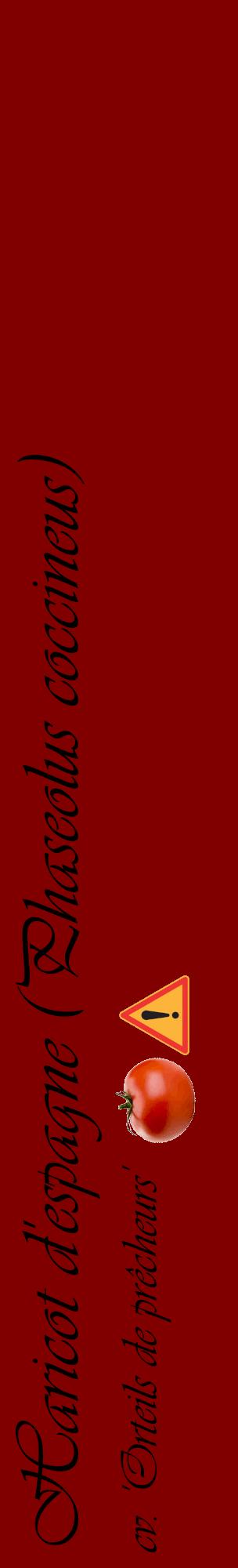 Étiquette de : Phaseolus coccineus cv. 'Orteils de prêcheurs' - format c - style noire29_basiqueviv avec comestibilité simplifiée
