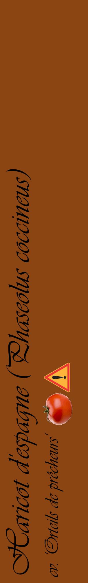 Étiquette de : Phaseolus coccineus cv. 'Orteils de prêcheurs' - format c - style noire30_basiqueviv avec comestibilité simplifiée
