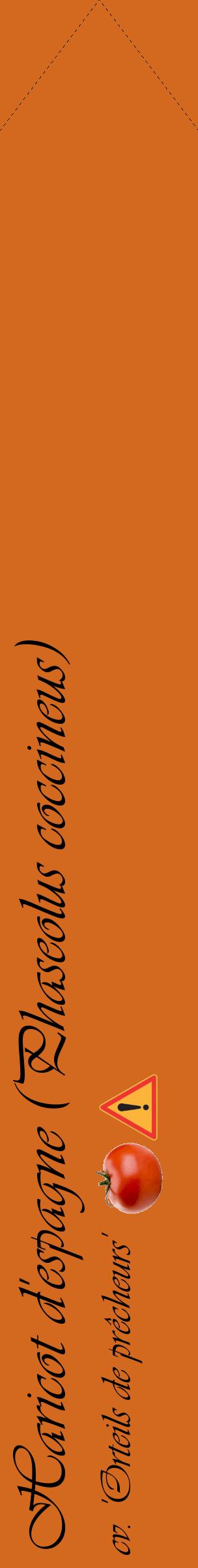Étiquette de : Phaseolus coccineus cv. 'Orteils de prêcheurs' - format c - style noire31_simpleviv avec comestibilité simplifiée
