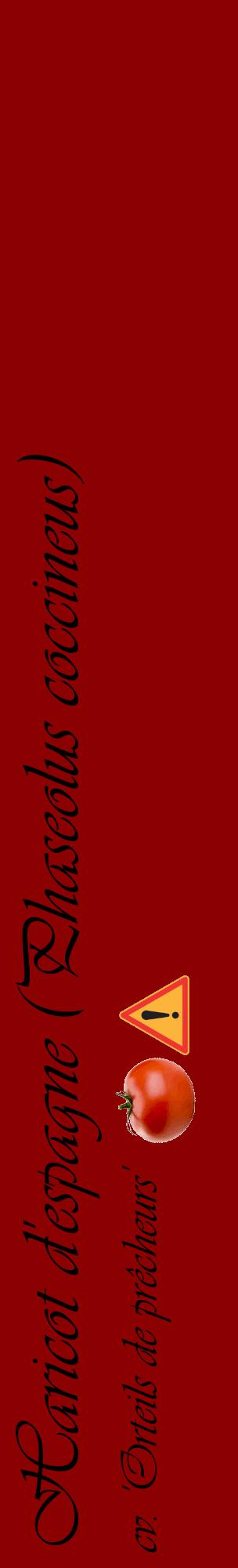 Étiquette de : Phaseolus coccineus cv. 'Orteils de prêcheurs' - format c - style noire34_basiqueviv avec comestibilité simplifiée