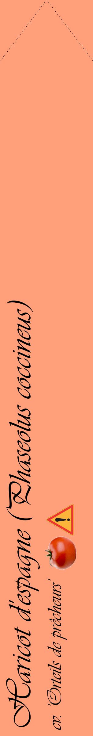 Étiquette de : Phaseolus coccineus cv. 'Orteils de prêcheurs' - format c - style noire39_simpleviv avec comestibilité simplifiée