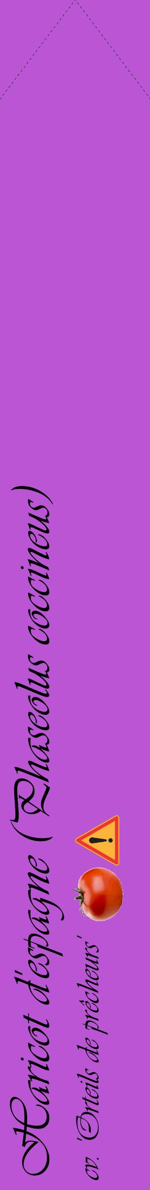 Étiquette de : Phaseolus coccineus cv. 'Orteils de prêcheurs' - format c - style noire50_simpleviv avec comestibilité simplifiée