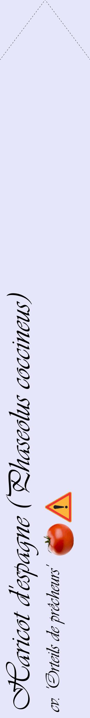 Étiquette de : Phaseolus coccineus cv. 'Orteils de prêcheurs' - format c - style noire55_simpleviv avec comestibilité simplifiée