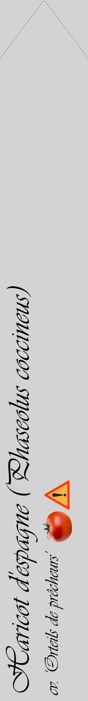 Étiquette de : Phaseolus coccineus cv. 'Orteils de prêcheurs' - format c - style noire56_simpleviv avec comestibilité simplifiée