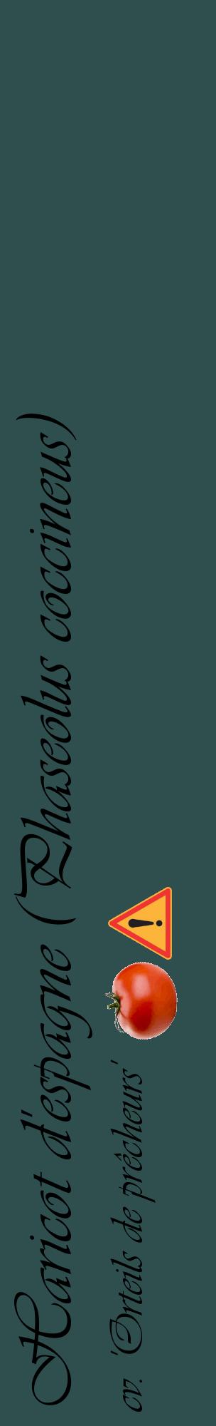 Étiquette de : Phaseolus coccineus cv. 'Orteils de prêcheurs' - format c - style noire58_basiqueviv avec comestibilité simplifiée