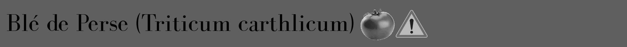 Étiquette de : Triticum carthlicum - format a - style noire10bod avec comestibilité simplifiée