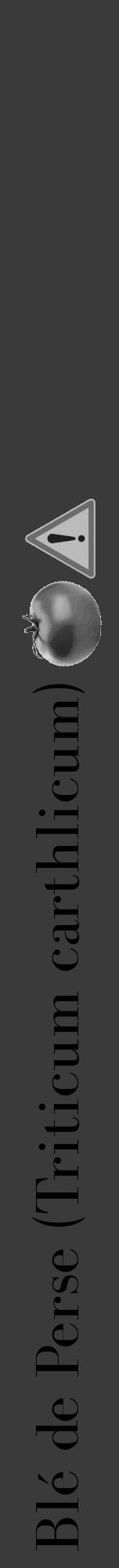 Étiquette de : Triticum carthlicum - format a - style noire8bod avec comestibilité simplifiée - position verticale