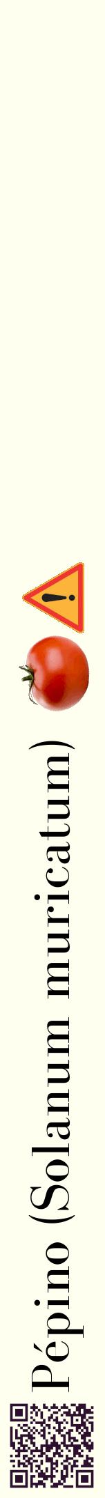 Étiquette de : Solanum muricatum - format a - style noire19bod avec qrcode et comestibilité simplifiée