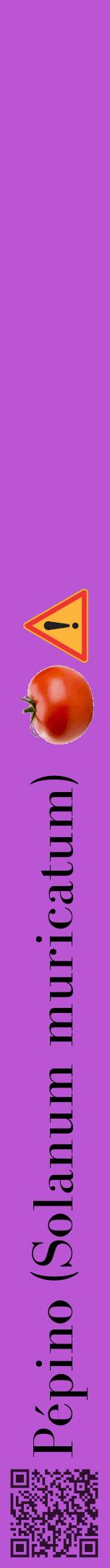 Étiquette de : Solanum muricatum - format a - style noire50bod avec qrcode et comestibilité simplifiée