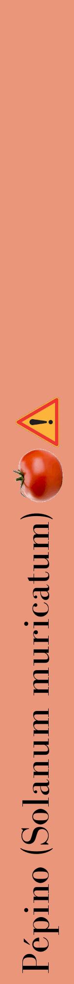 Étiquette de : Solanum muricatum - format a - style noire37bod avec comestibilité simplifiée