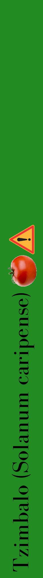 Étiquette de : Solanum caripense - format a - style noire10bod avec comestibilité simplifiée