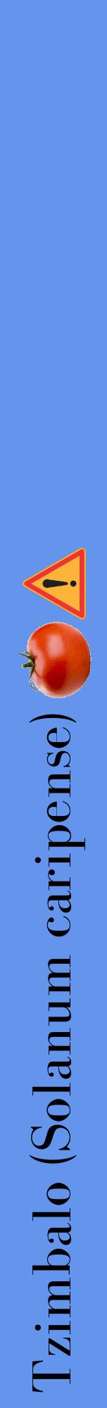 Étiquette de : Solanum caripense - format a - style noire4bod avec comestibilité simplifiée