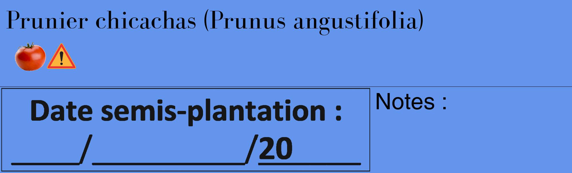 Étiquette de : Prunus angustifolia - format c - style noire4_basique_basiquebod avec comestibilité simplifiée