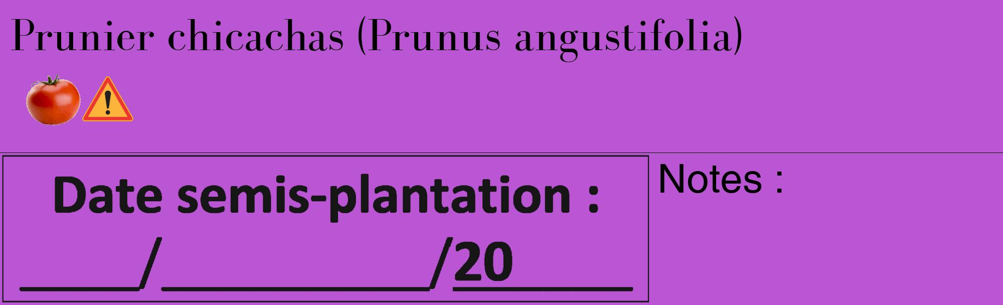 Étiquette de : Prunus angustifolia - format c - style noire50_basique_basiquebod avec comestibilité simplifiée